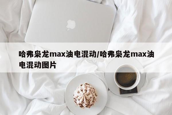 哈弗枭龙max油电混动/哈弗枭龙max油电混动图片