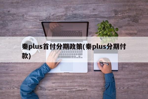 秦plus首付分期政策(秦plus分期付款)