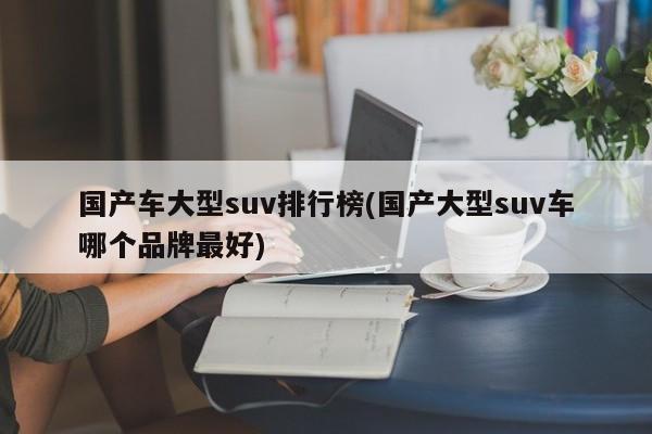 国产车大型suv排行榜(国产大型suv车哪个品牌最好)